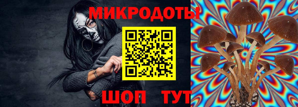 Галлюциногенные грибы ЛСД Ессентуки
