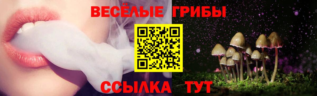 Ессентуки  Галлюциногенные грибы Psilocybine cubensis  Вход с VPN 